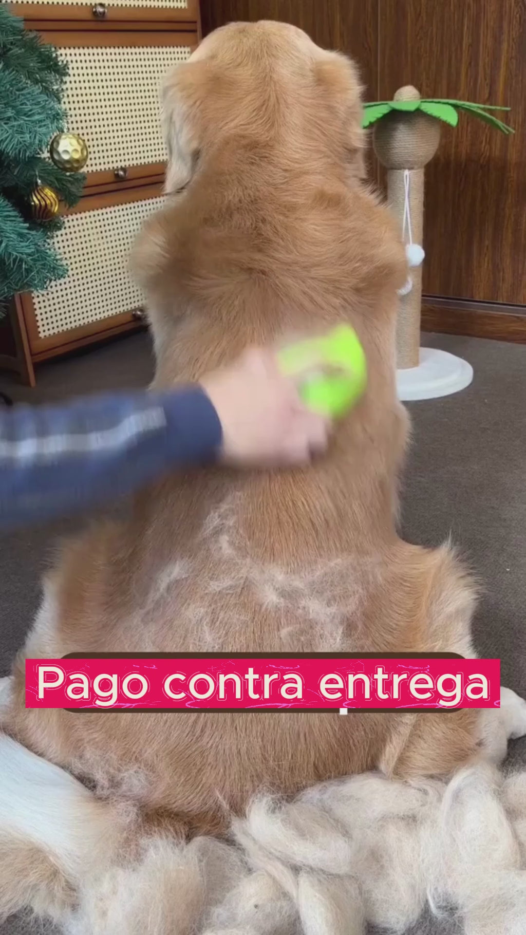 Cepillo Vaporizador 3 en 1